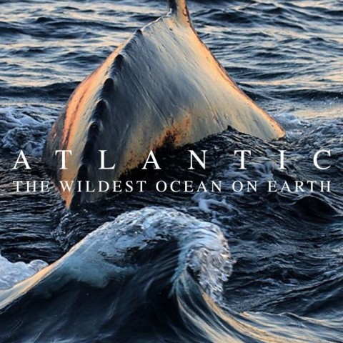 Atlantic: The Wildest Ocean on Earth