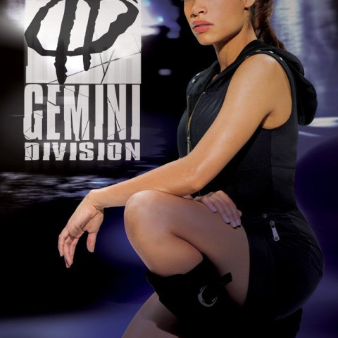 Gemini Division