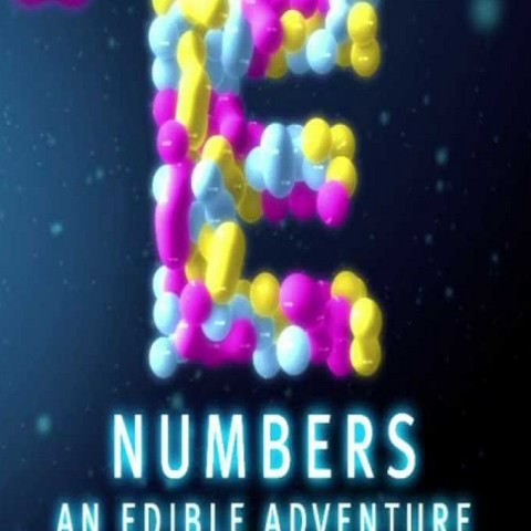 E Numbers: An Edible Adventure