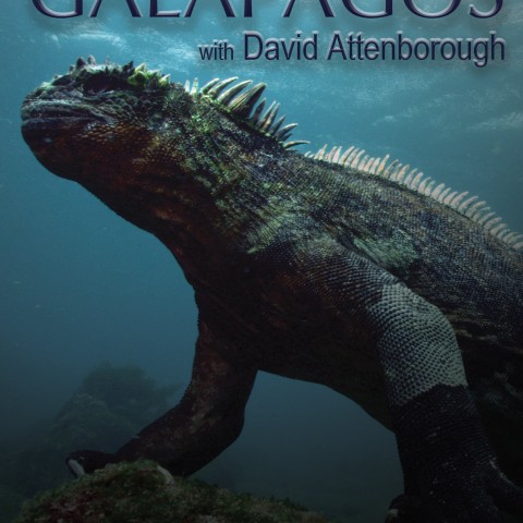Galapagos with David Attenborough