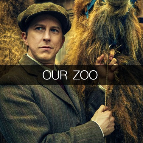 Our Zoo