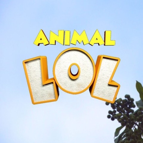 Animals LOL