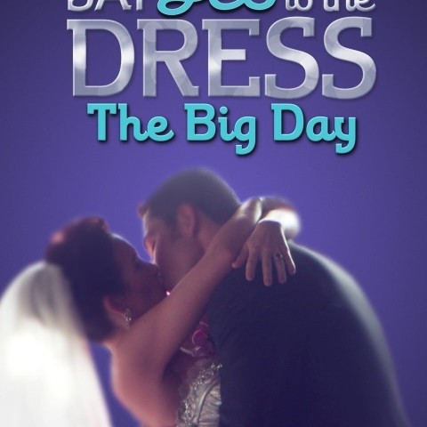 Say Yes to the Dress: The Big Day