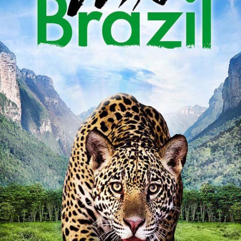 Wild Brazil