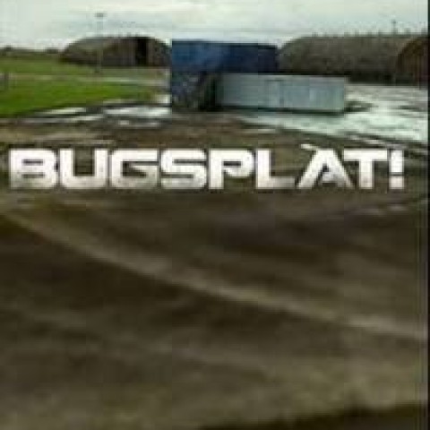 Bugsplat!