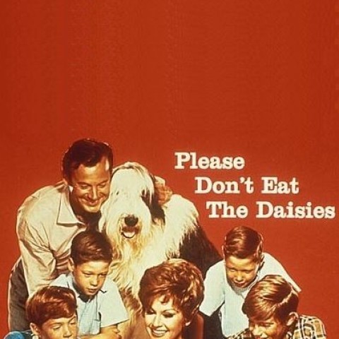 Please Don't Eat the Daisies