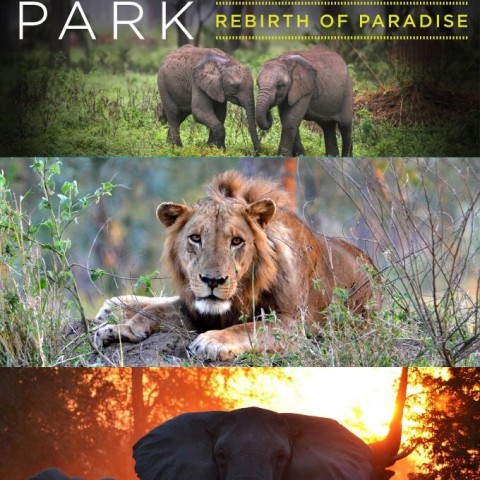 Gorongosa Park: Rebirth of Paradise