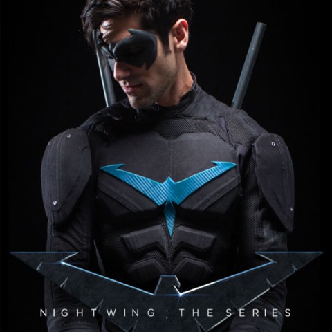 Nightwing: The Series