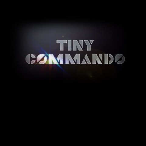 Tiny Commando