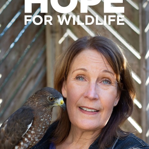 Hope for Wildlife