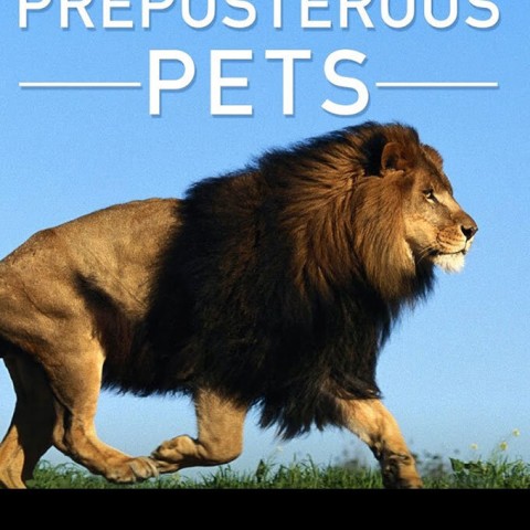 Preposterous Pets