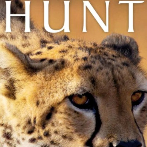 The Hunt