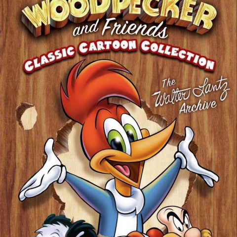 The Woody Woodpecker Show