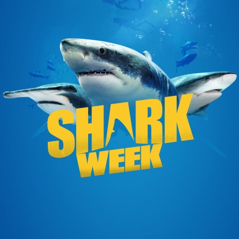 Shark Week