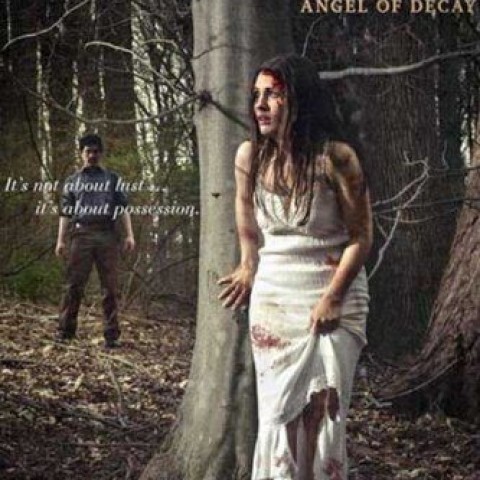 Serial Thriller: Angel of Decay
