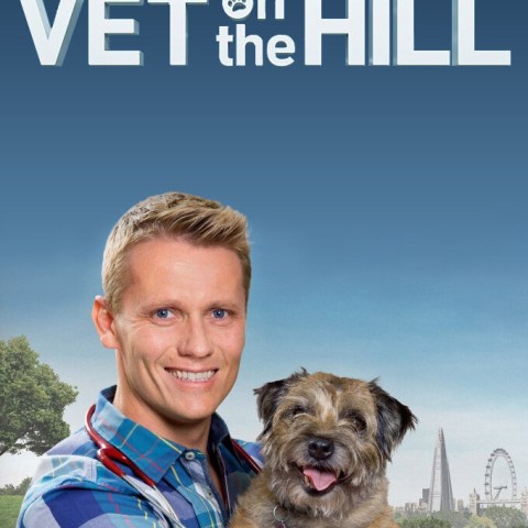 Vet on the Hill