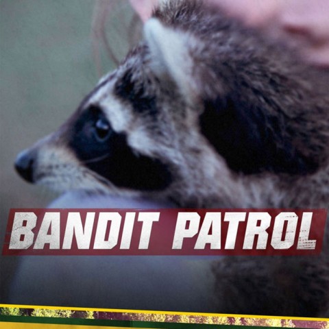 Bandit Patrol