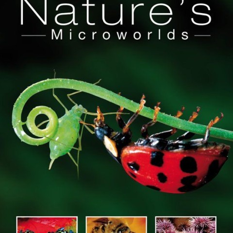 Nature's Microworlds