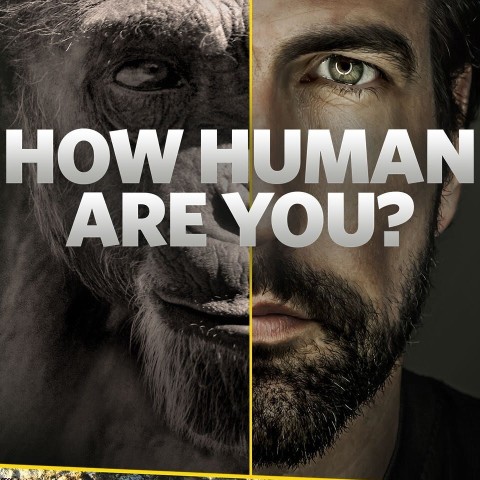 How Human Are You?