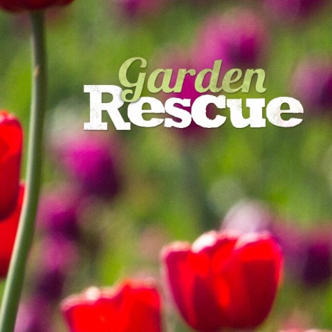 Garden Rescue