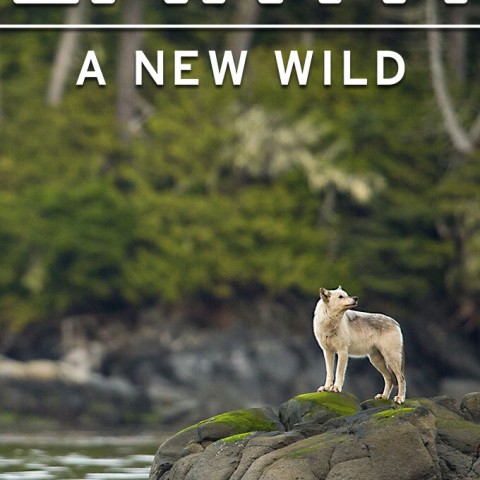 Earth: A New Wild