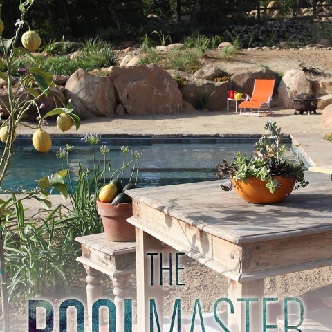 The Pool Master