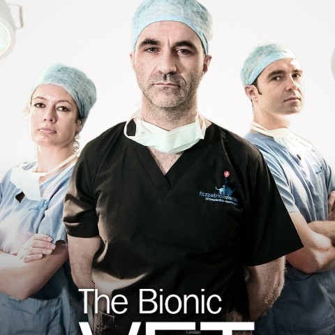 The Bionic Vet
