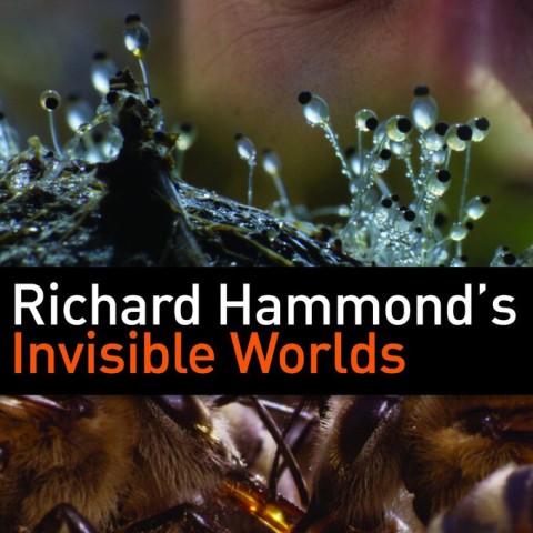 Richard Hammond's Invisible Worlds