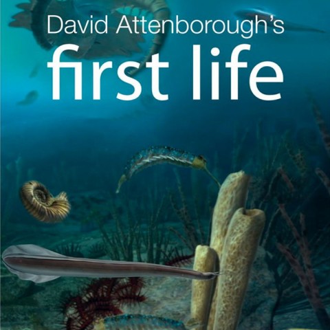 David Attenborough's First Life