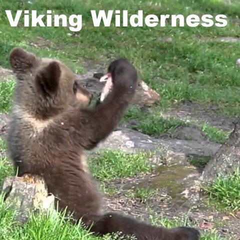 Viking Wilderness