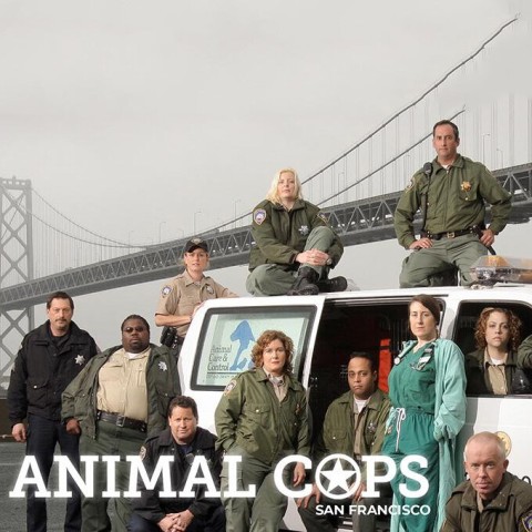 Animal Cops: San Francisco