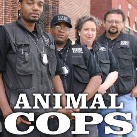 Animal Cops: Detroit