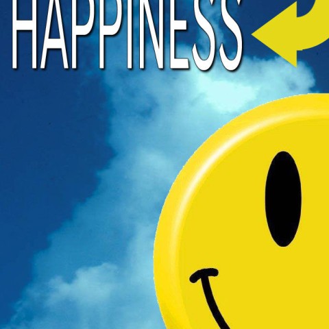 The Insiders Guide to Happiness