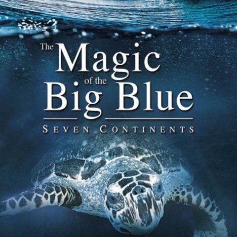 The Magic of the Big Blue