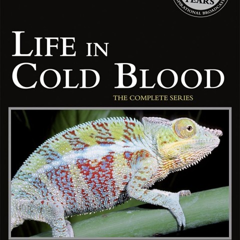 Life in Cold Blood