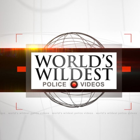 World's Wildest Police Videos