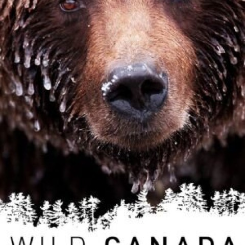 Wild Canada