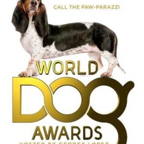 The World Dog Awards