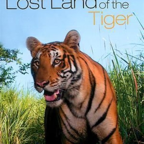 Lost Land of the Tiger