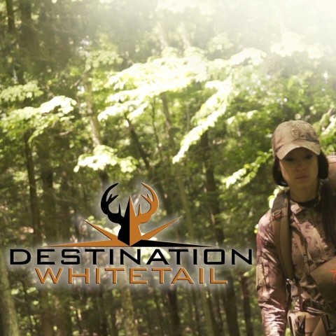 Destination Whitetail