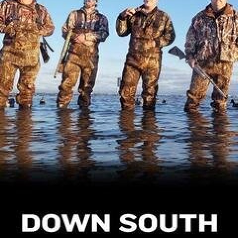 Down South