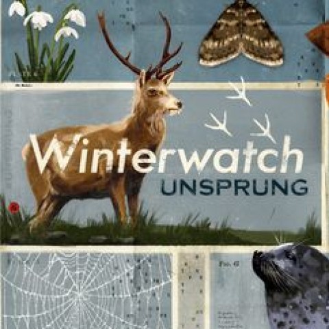 Winterwatch Unsprung