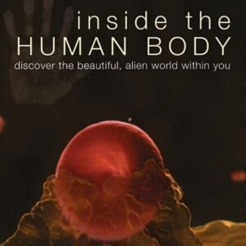 Inside the Human Body