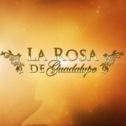 La rosa de Guadalupe