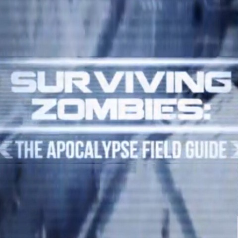 Surviving Zombies