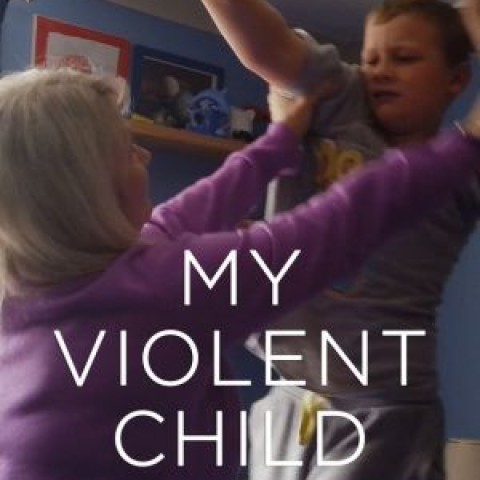 My Violent Child