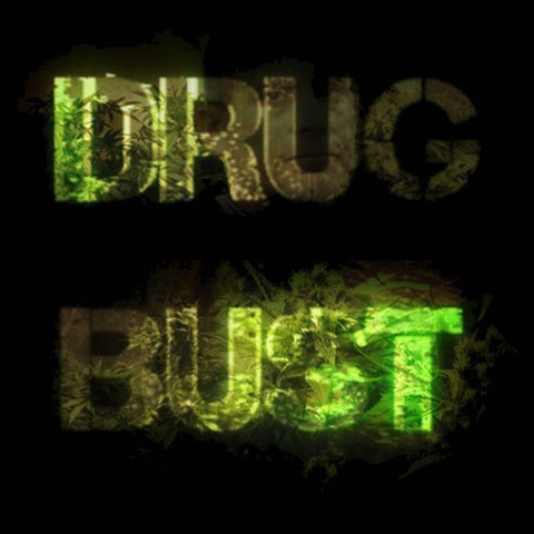 Drug Bust