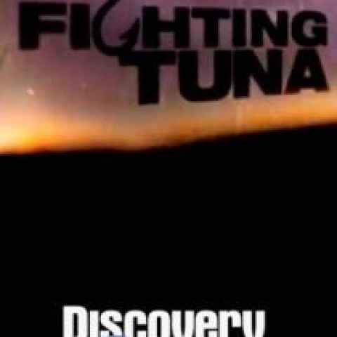 Fighting Tuna