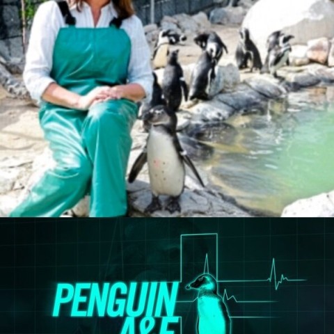 Penguin A&E with Lorraine Kelly