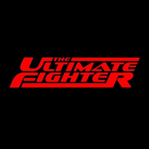 The Ultimate Fighter China